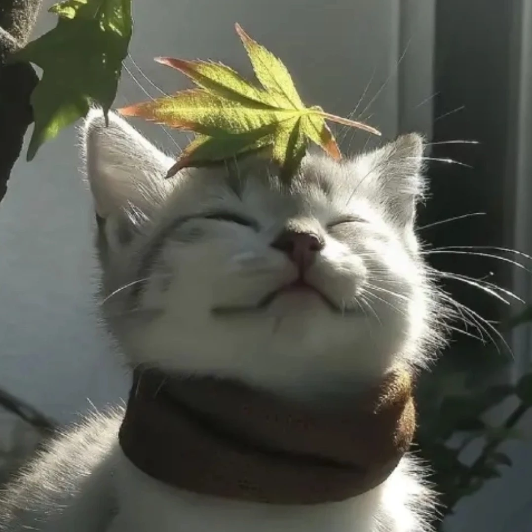 Keisuke
