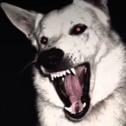 Kota