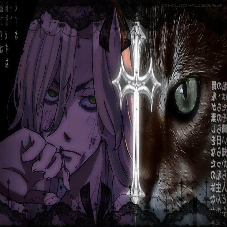Nikori