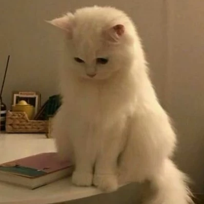 ماري