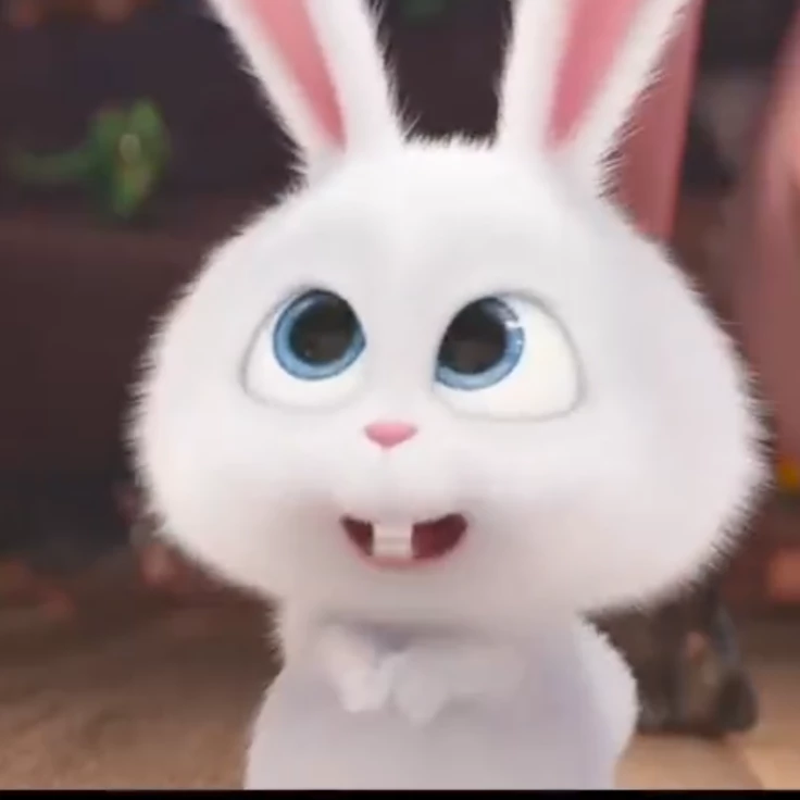 Shinnyy