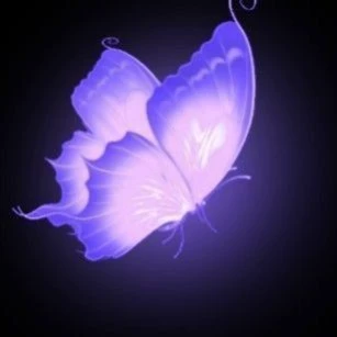 Viofly