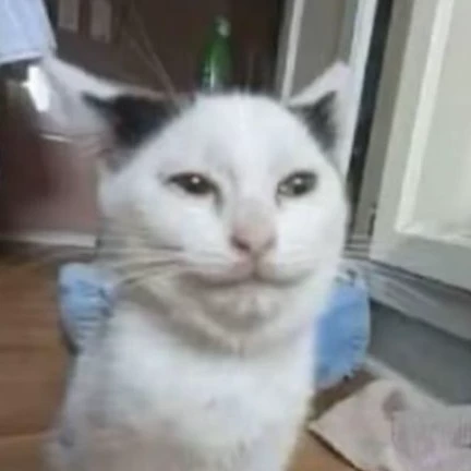 Wuvkan