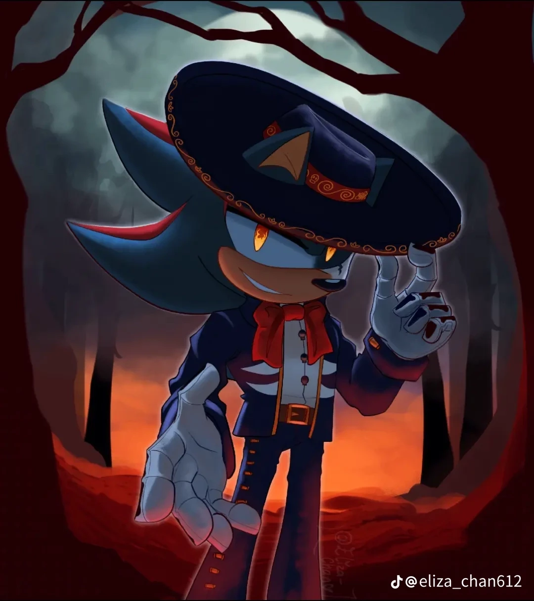 Shadow The Hedgehog - (Charro negro) thumbnail