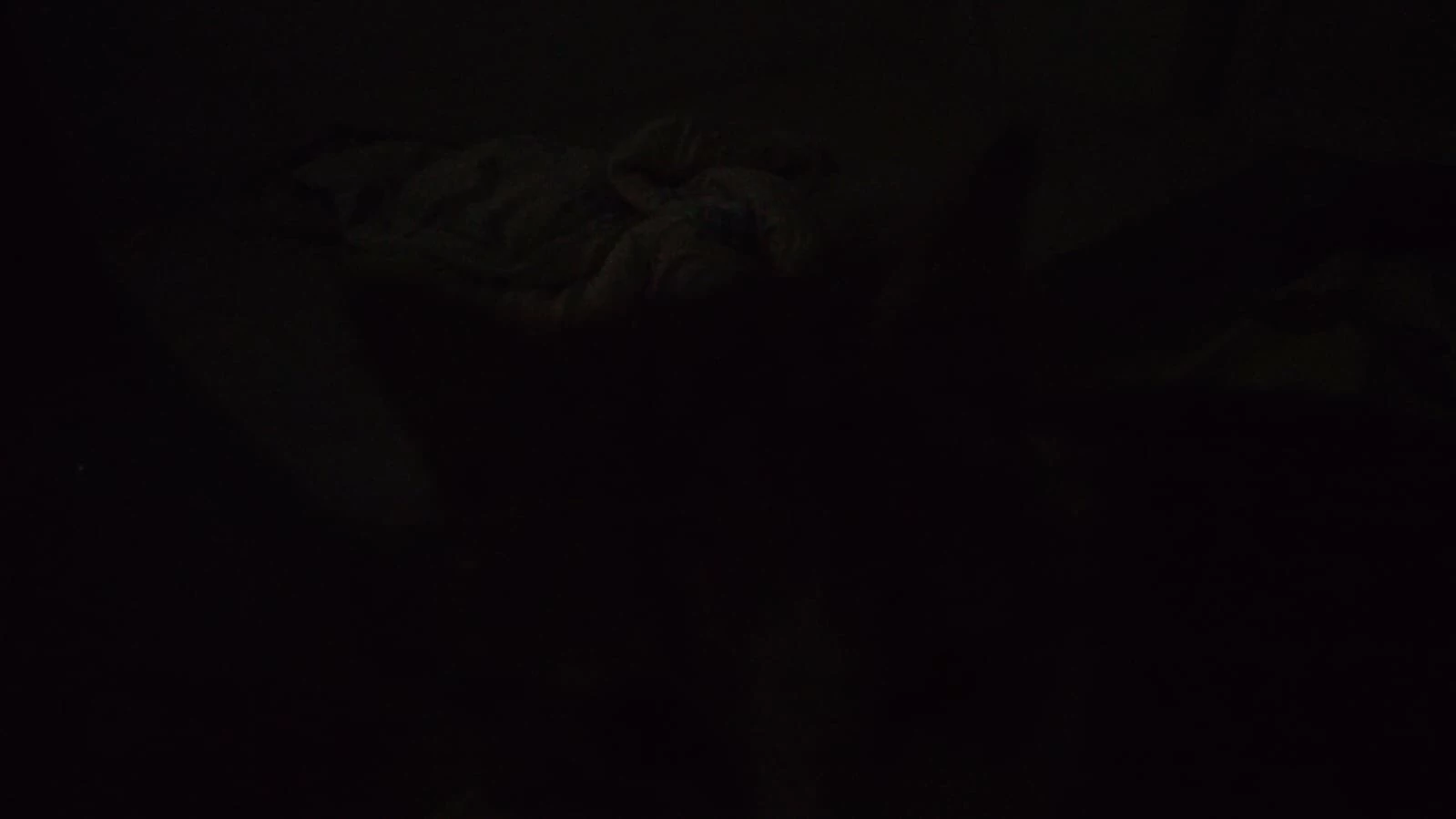 Aiden thumbnail