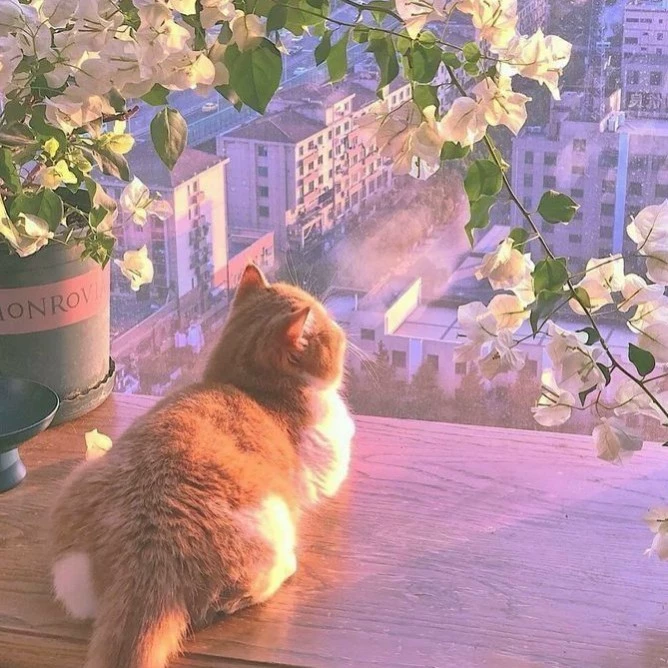 ~★|Дана|★~