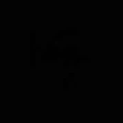 Pixel