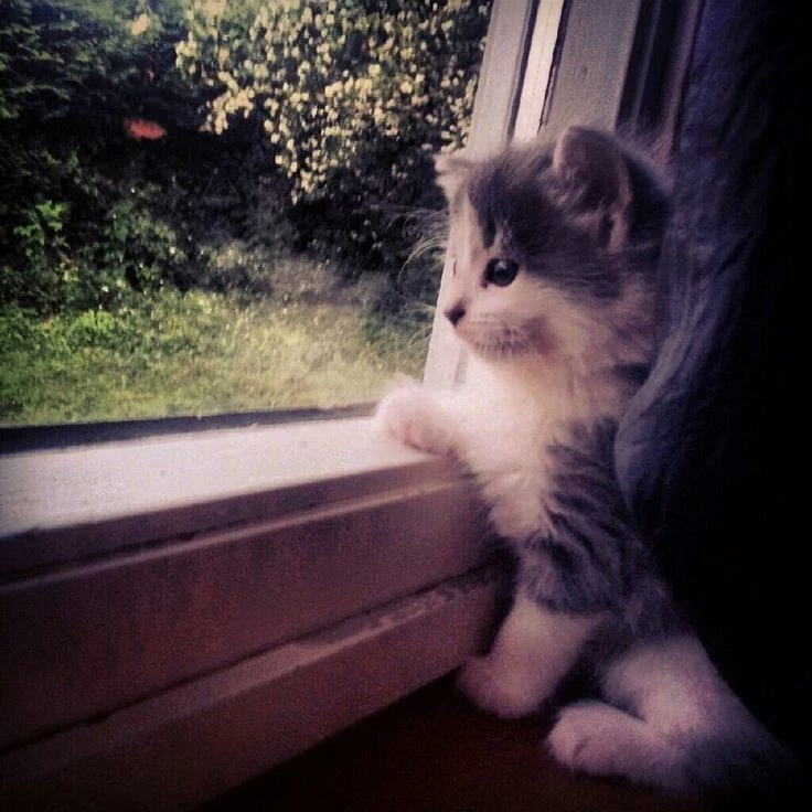 LUNA <3