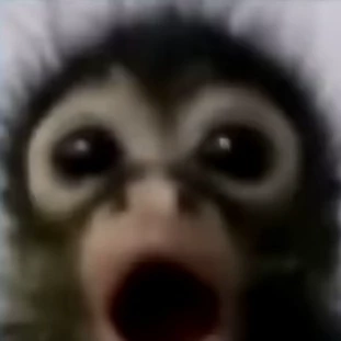 Eduardo