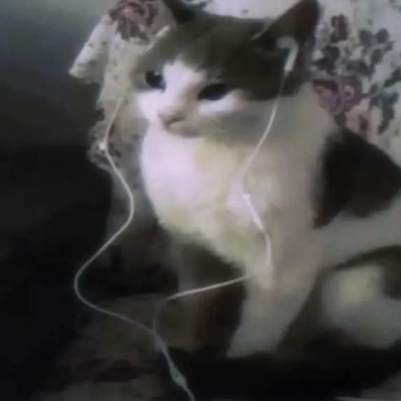 Юки