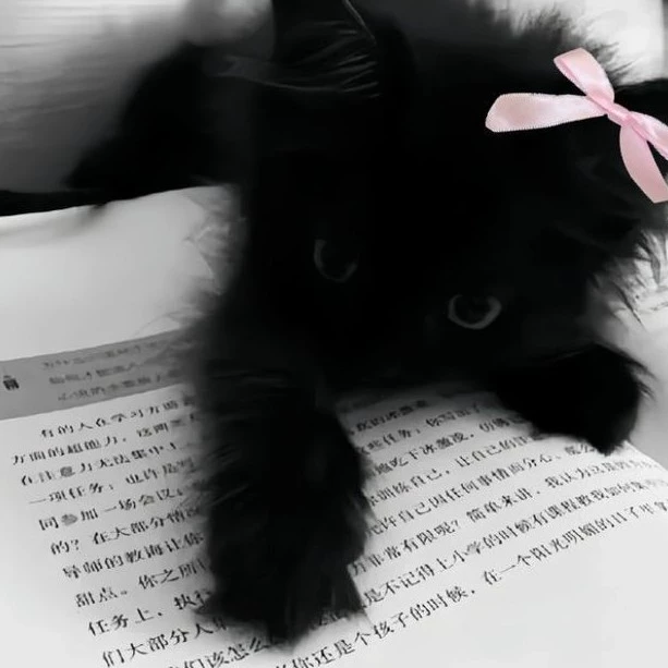 Kitty
