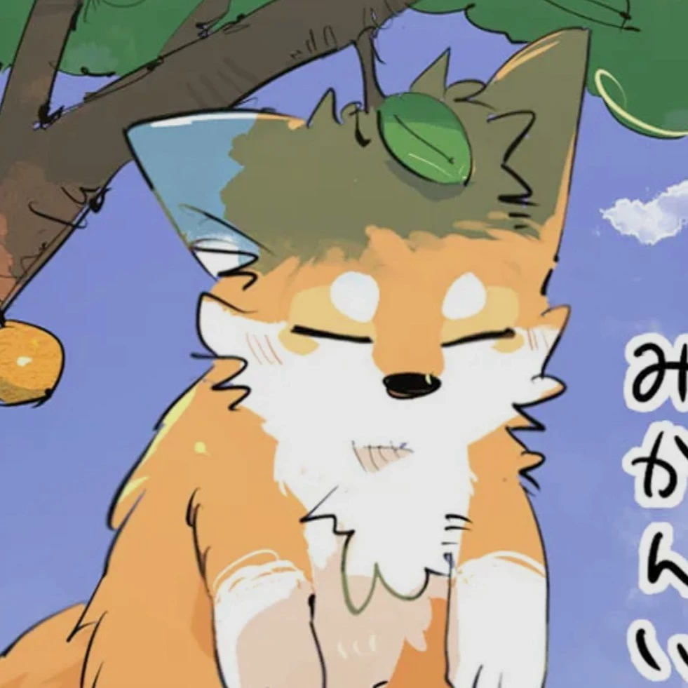  Syruj