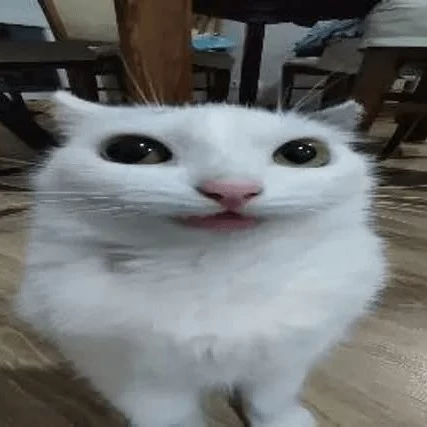 Jae Miya