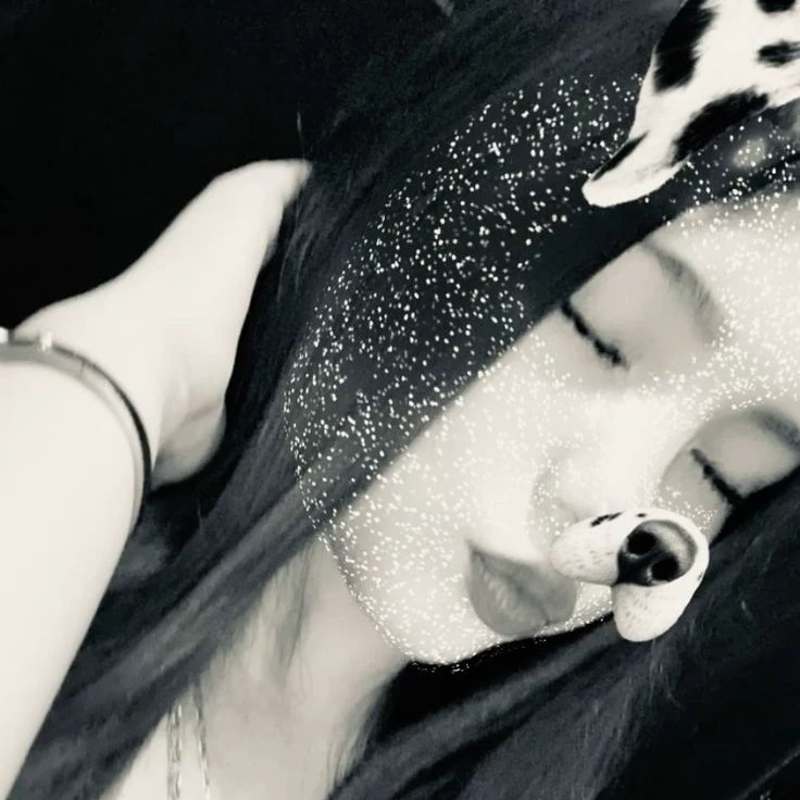 Sofia 