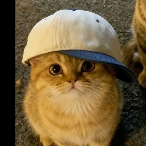 Кими