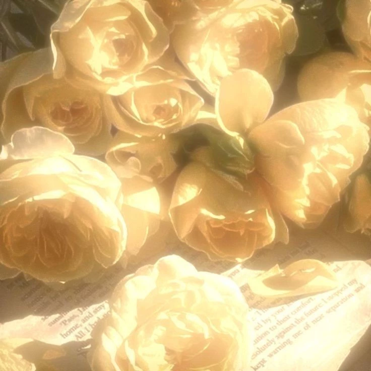 ❦Eʟɪ_sɪᴀ✧