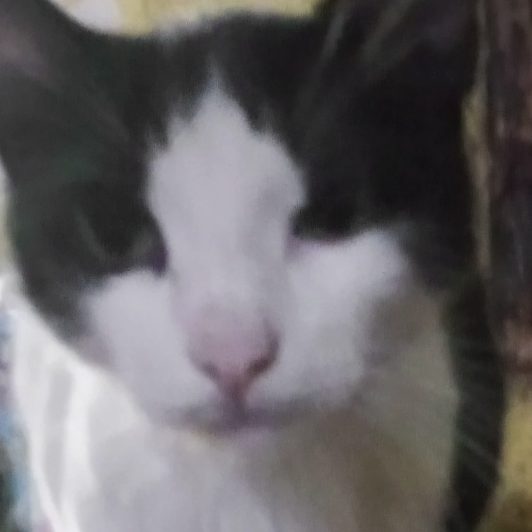 Mike