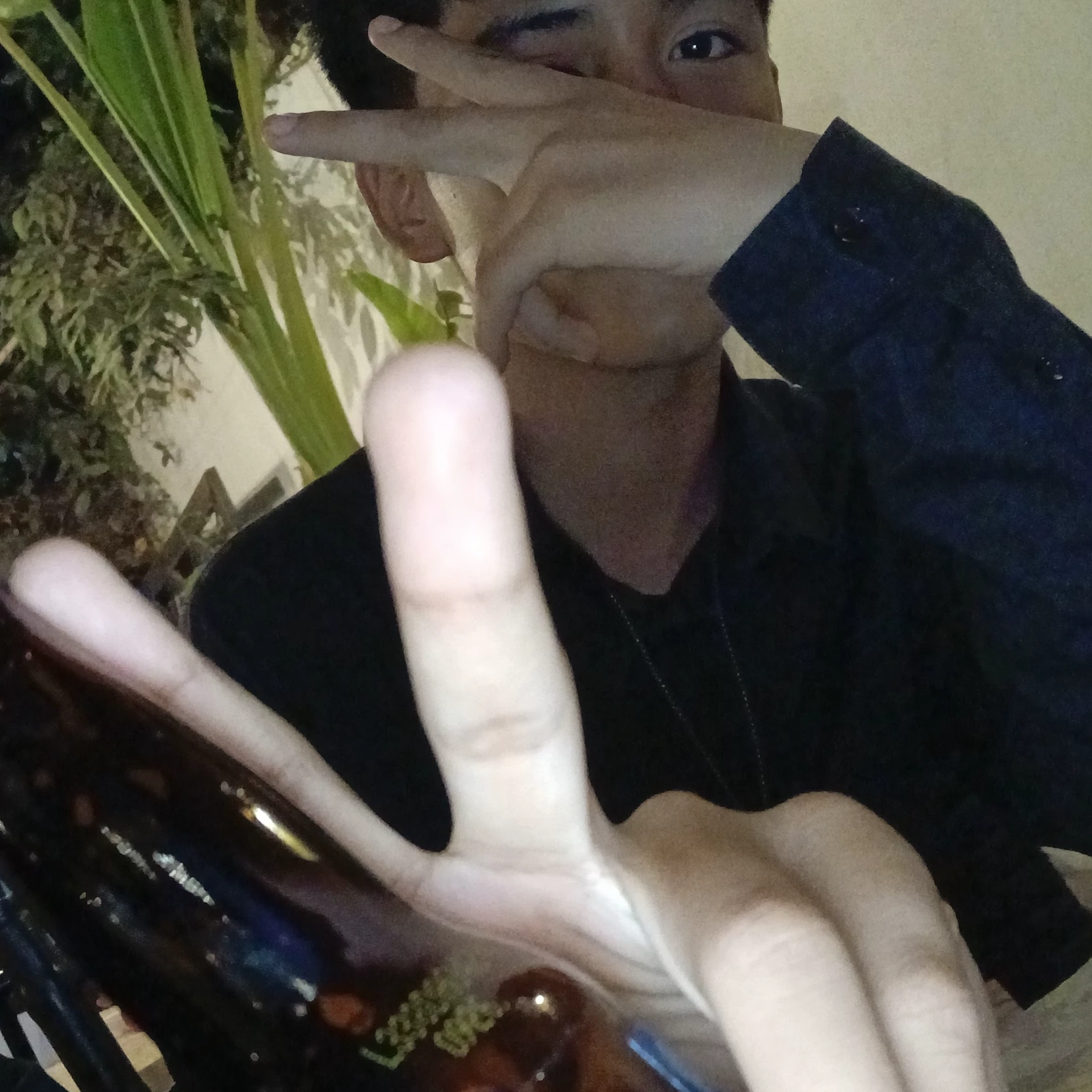 Tadeo