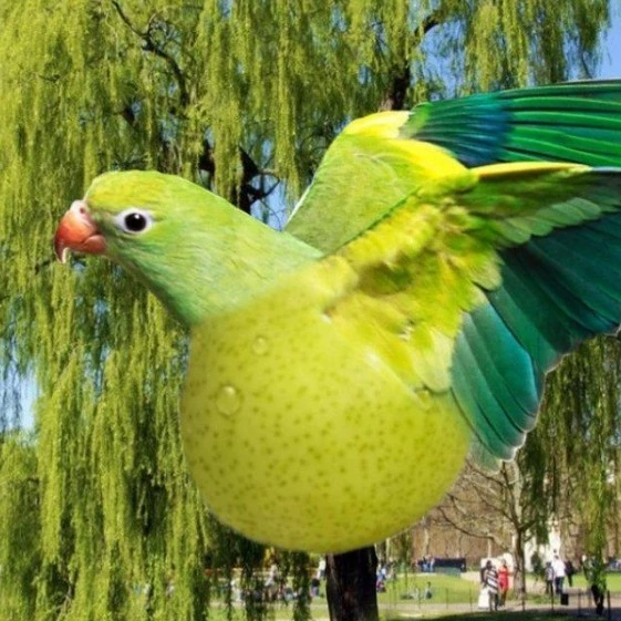 Саня