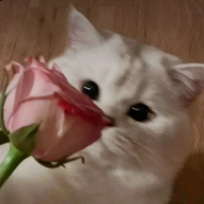 <3