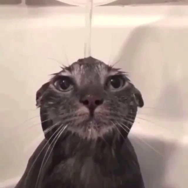 แซน