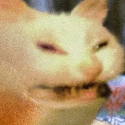 kitekat