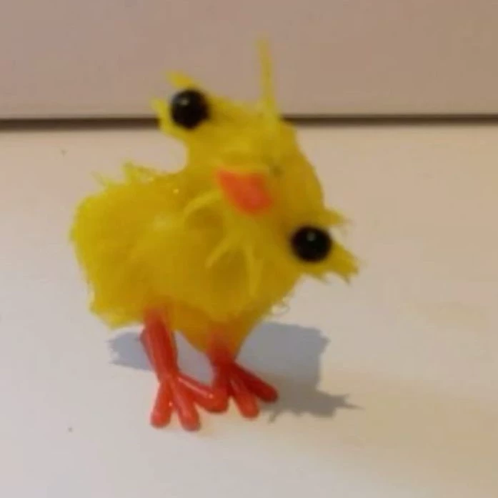 Duckk🦆