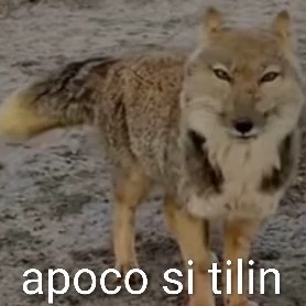 Esmocki