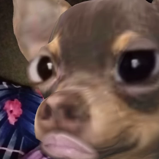 Caomie 