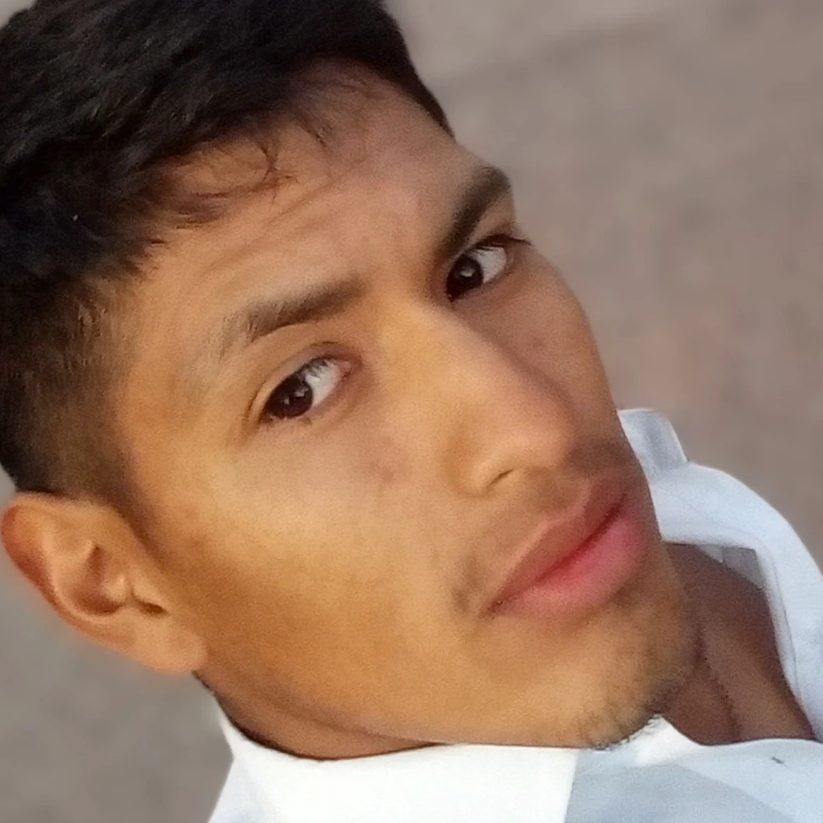 Bruno
