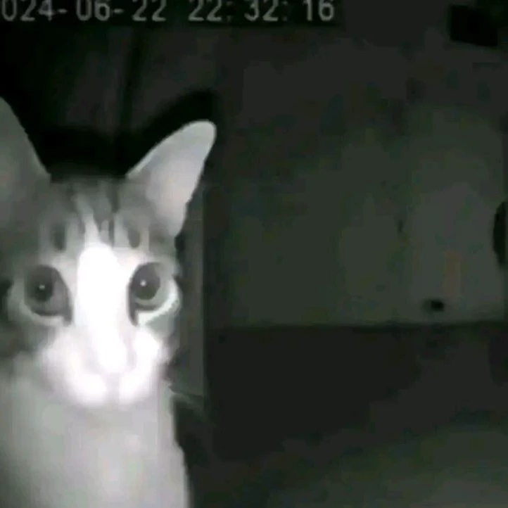 Кевин