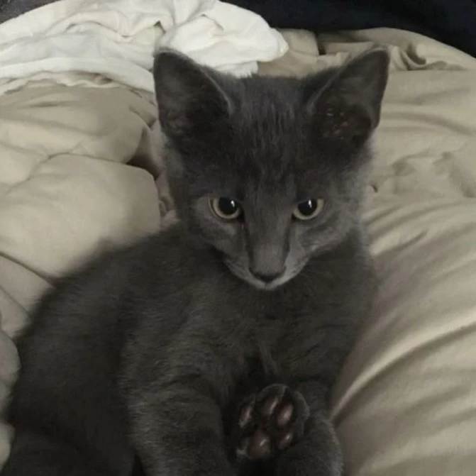 Sup