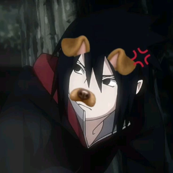 🏳️‍⚧️° • 𝕳𝖆𝖗𝖚𝖐𝖎 • °🏳️‍⚧️