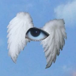 ¿?