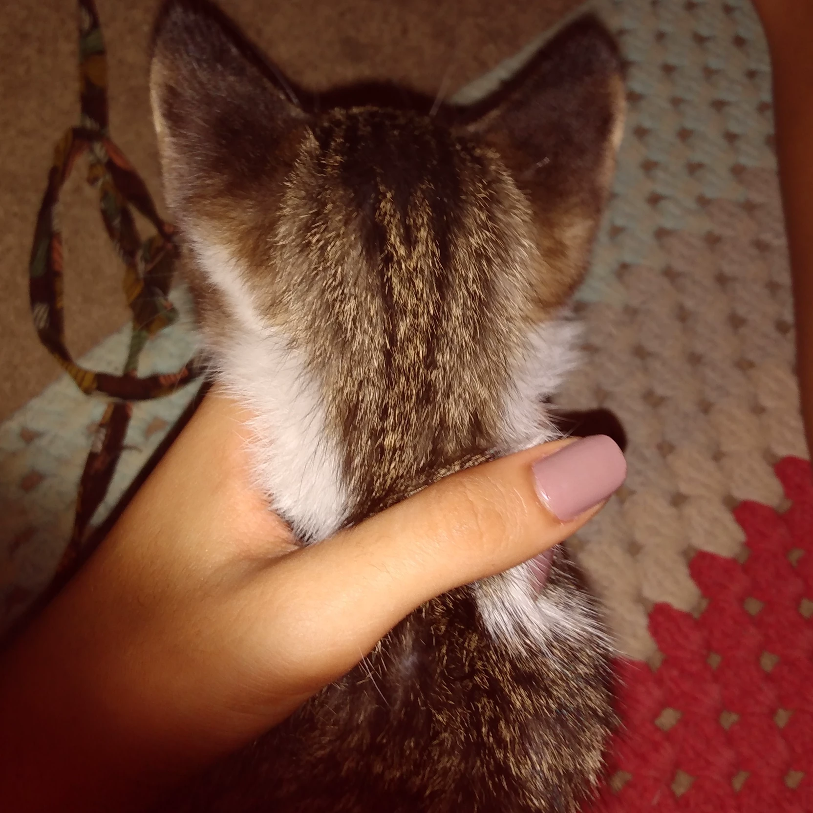 ★Alice★