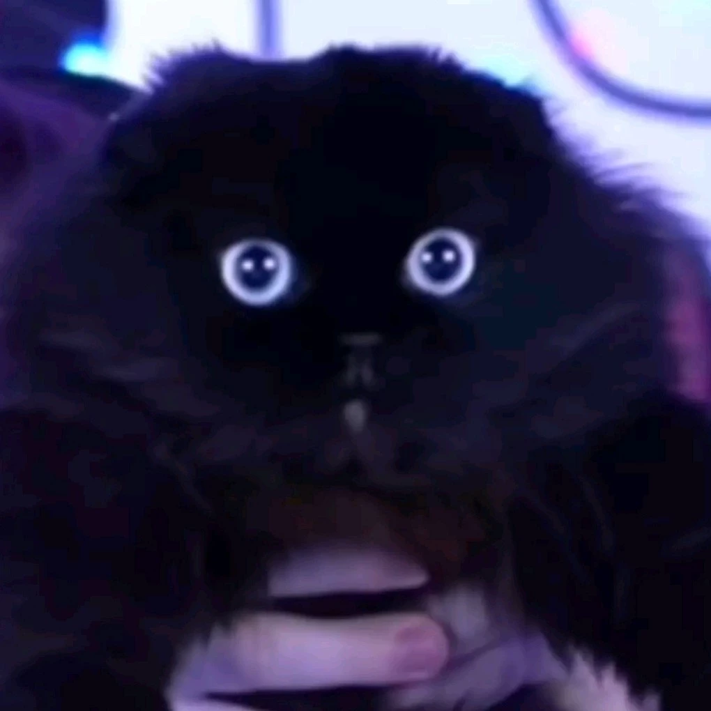 Yaaaaii