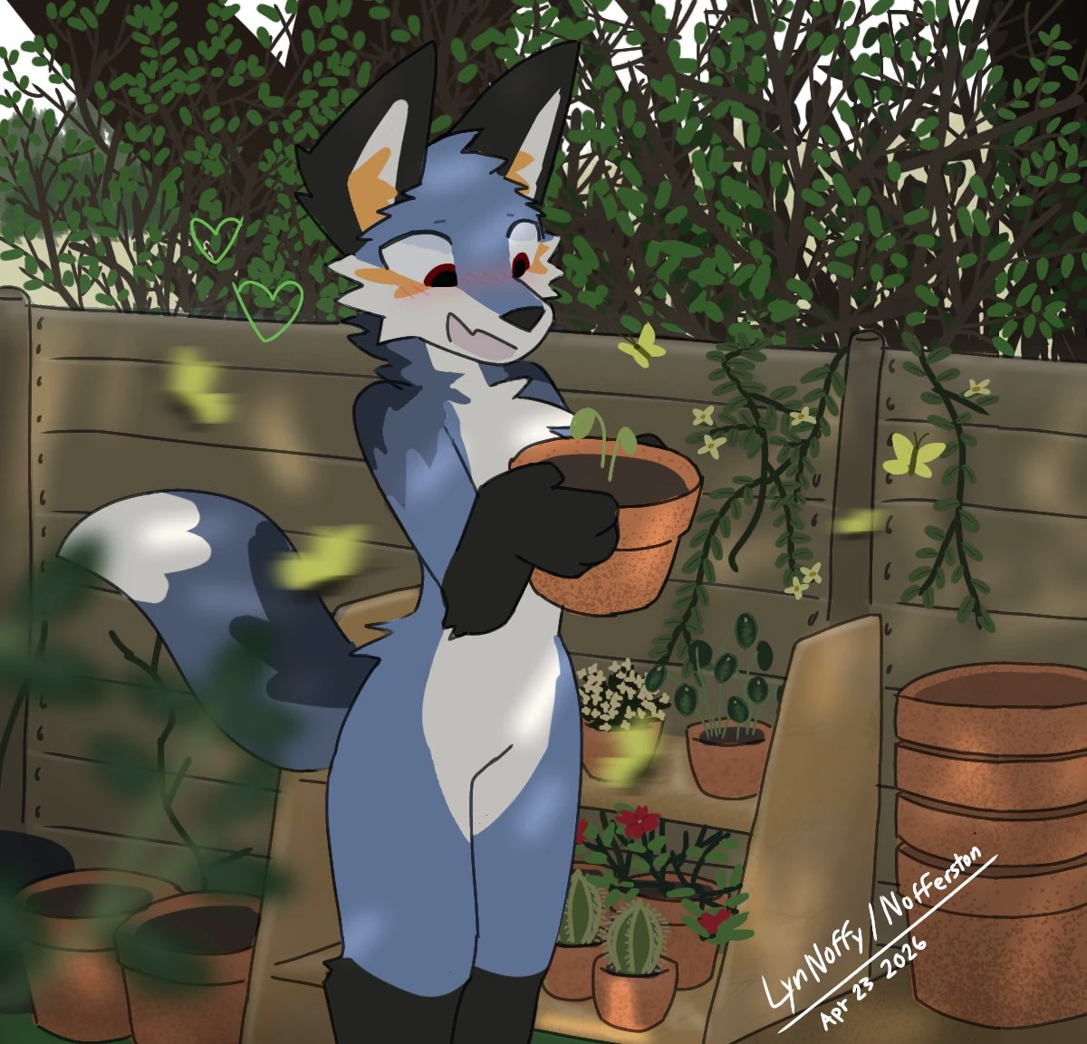 Noa (furry) thumbnail