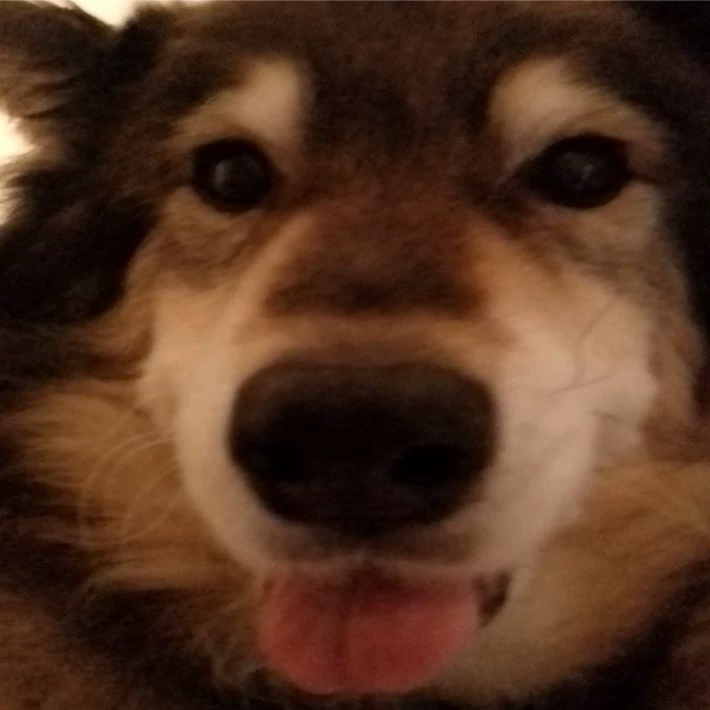 You