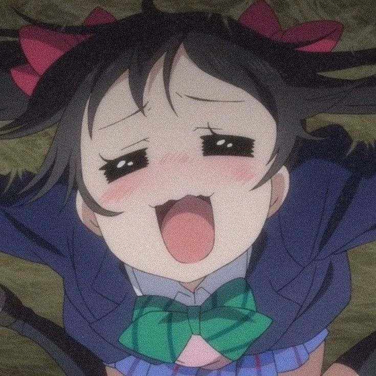 Melsenpaii 