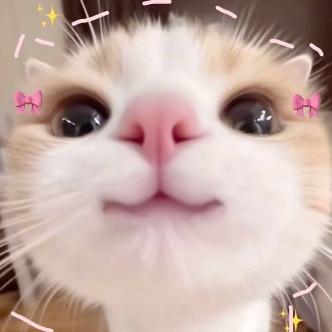 Y/n