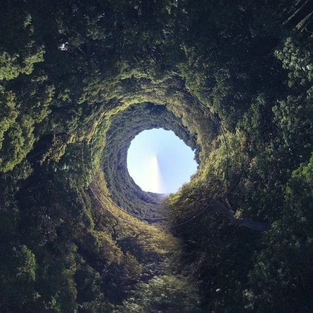 Wonderland thumbnail