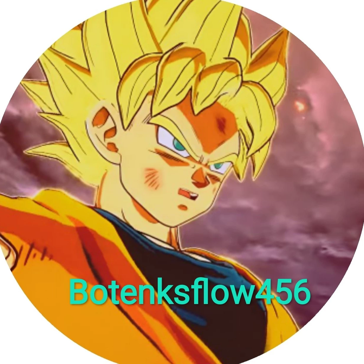 boten 456