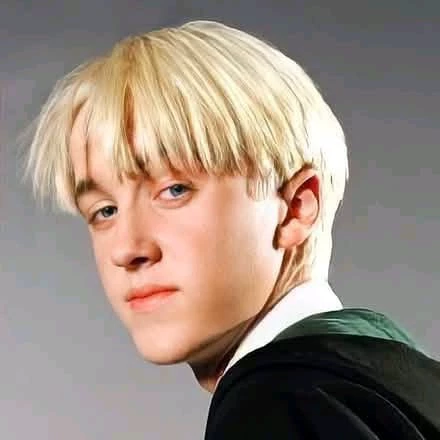 Darry James Potter Malfoy 