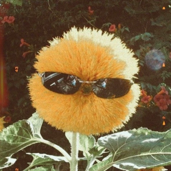 Молли 