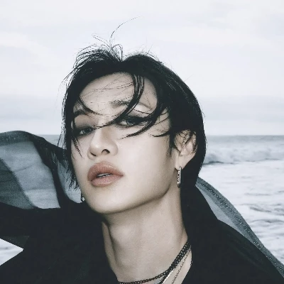 Bang Chan (Wolf hybrid) thumbnail