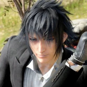Noctis Lucis Caelum 