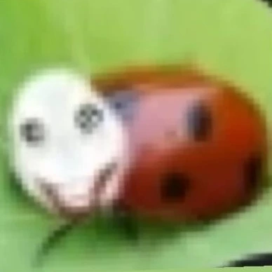 べラ