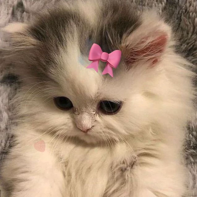 𝓜 Millie