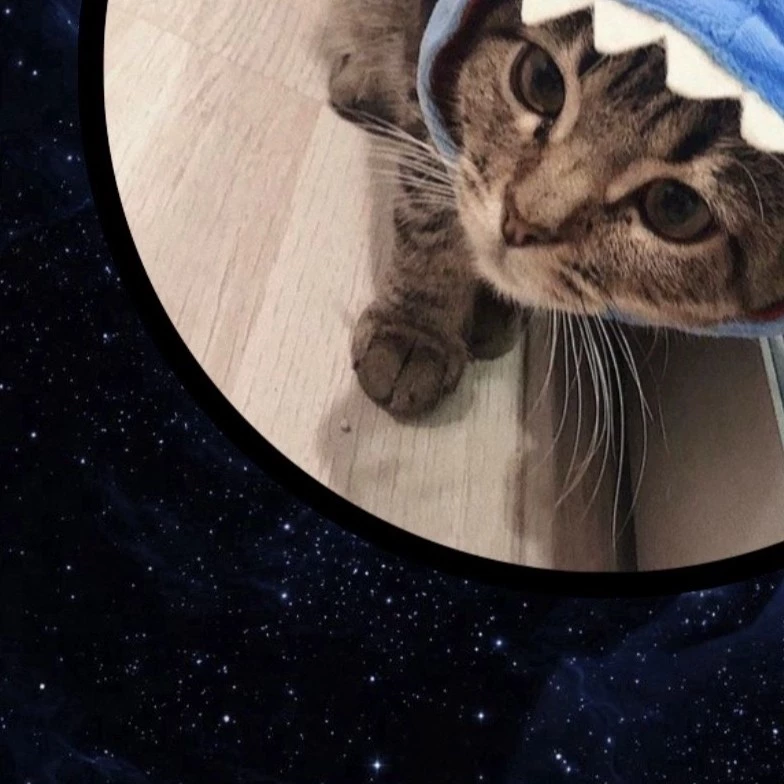 chillguyplaz