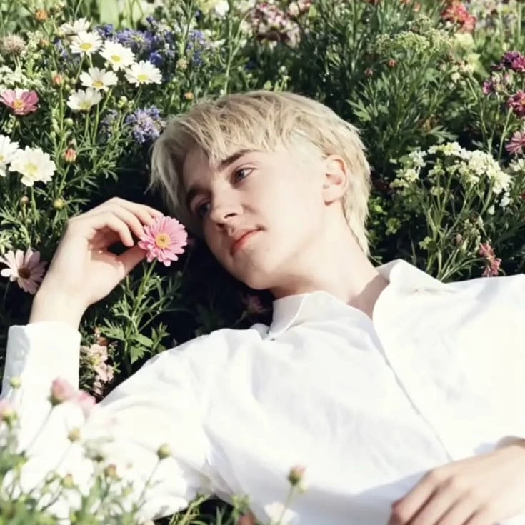 ˚ ༘♡ ⋆｡˚𝑳𝒚𝒏